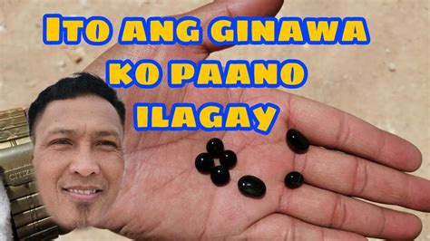 pinay kinantot ng may bulitas